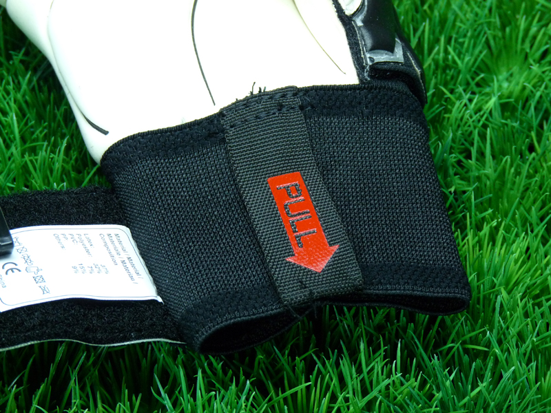 Reusch Raptor Pro Mega OrthoTec 2009